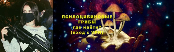 а пвп мука Верея
