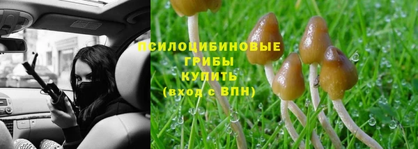 а пвп мука Верея