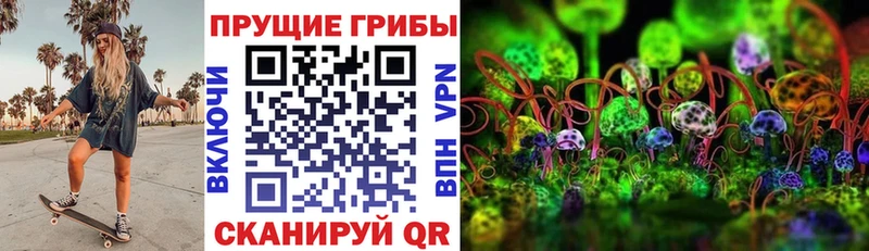 купить   Вилючинск  Псилоцибиновые грибы мицелий 